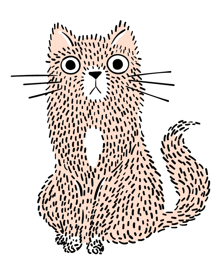 Kitty cat